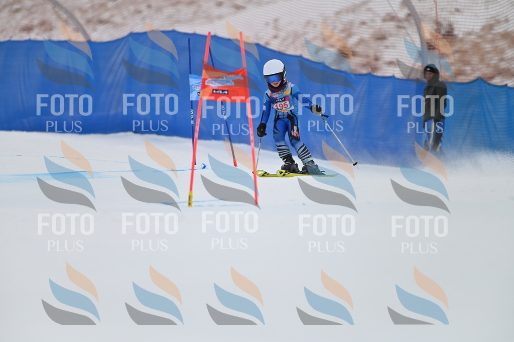 BGV_1649 | holidayphoto