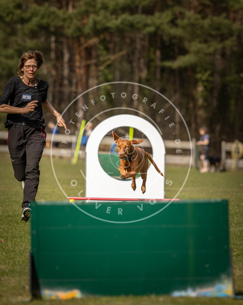 Pfotenfotografie_DV3A0213 | Hundefotografie, Tierfotograf, Pfotenfotografie, Fotoshooting Hund, Hunde Portrait, Hundesport, Hundeportraits, Heideshooting, Hunde, Sportfotograf, Hundefotograf, Turnierhundsport, THS,  - Realisiert mit Pictrs.com