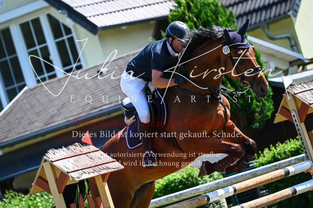 DSC_0994 | Pferde- und Turnierfotografie in Westsachsen. Pferdeportraits, Auftragszeichnungen und intuitive Kunst.