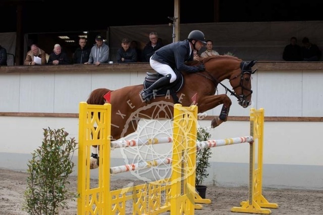 2B4A1135 | pixelfaenger - Realisiert mit Pictrs.com