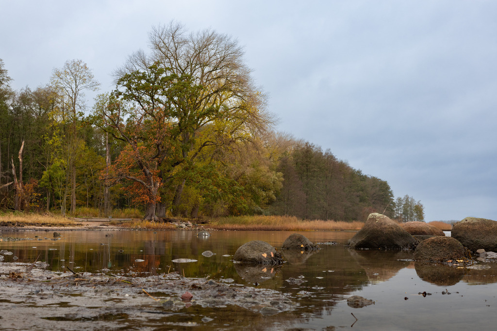 Zierow im Herbst | Ruhige Herbststimmung am Ostsee-Ufer von Zierow in Mecklenburg-Vorpommern im November 2023 - Realisiert mit Pictrs.com
