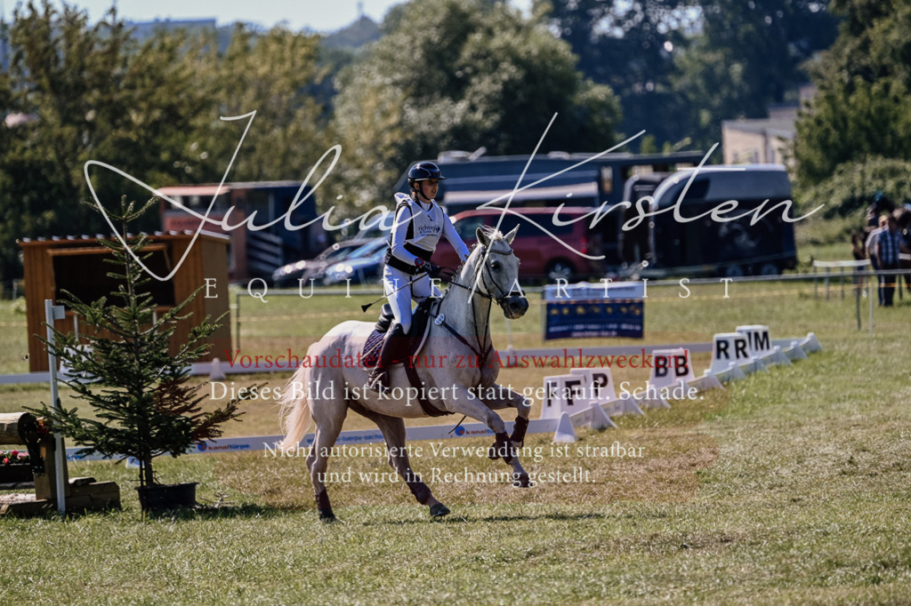 DSC_2041 | Pferde- und Turnierfotografie in Westsachsen. Pferdeportraits, Auftragszeichnungen und intuitive Kunst.