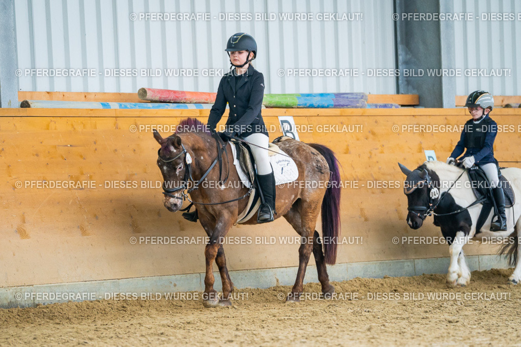 DSC01398 | Pferdegrafie