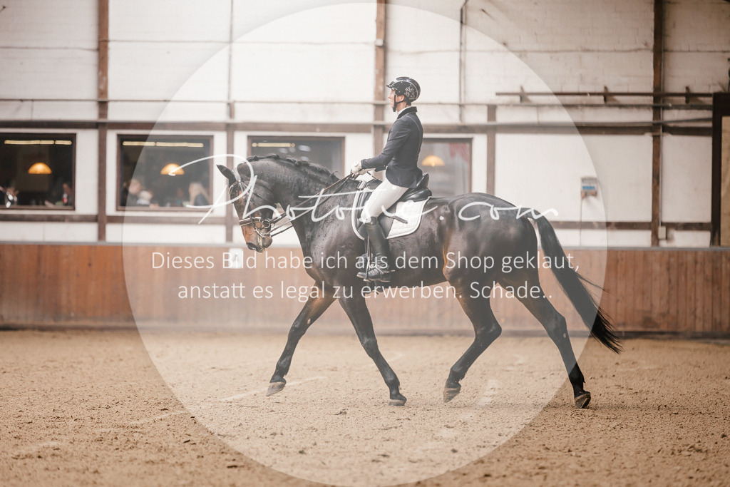 3I6A8232 | Stimmungsvolle Portraits und Reitsportfotografie im Ruhrgebiet und im Münsterland.

Pferdefotografie, Hundefotografie, Tierfotografie, Reportagen, Portraits von Tier und Mensch, Turnierfotografie in Bochum, Recklinghausen, Marl, Haltern am See, Dülmen.. - Realisiert mit Pictrs.com