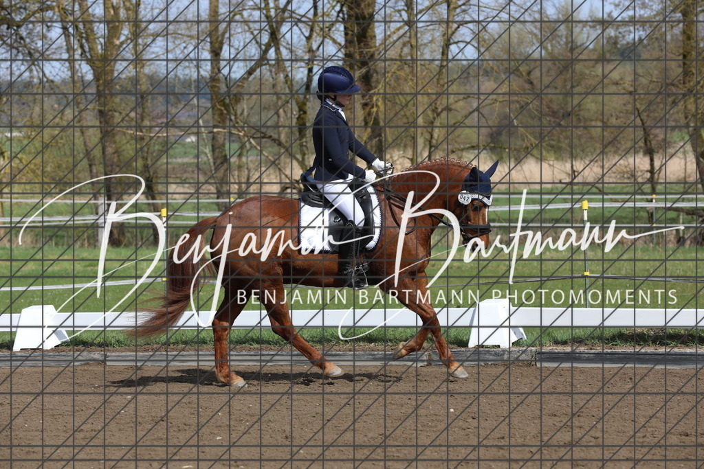 AZ2A4253 | Benjamin Bartmann Photomoments