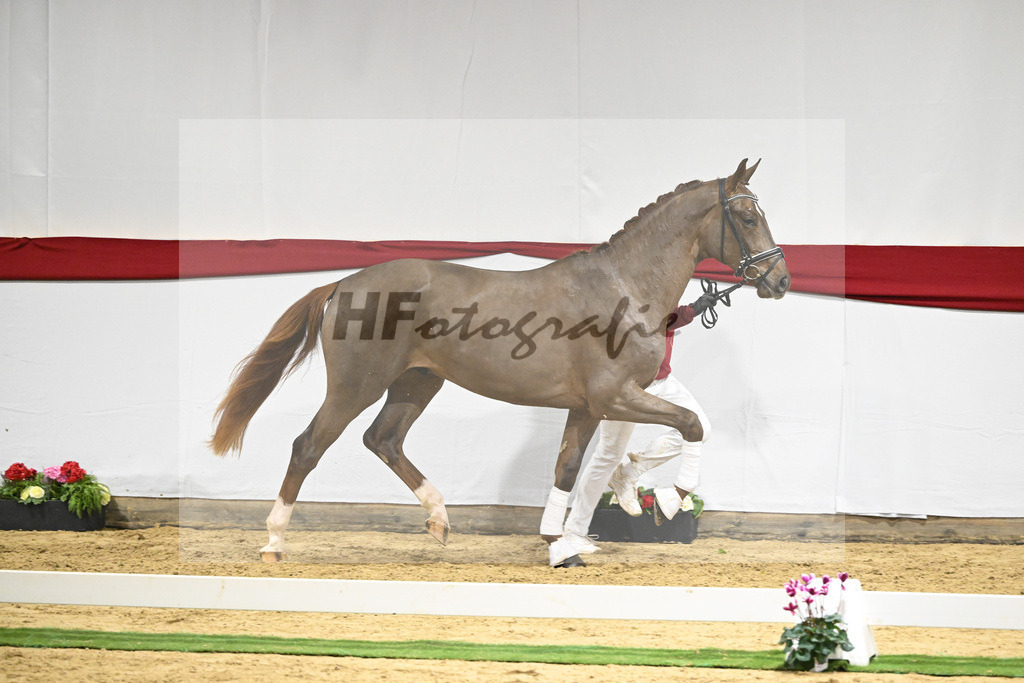 Kat-Nr. 56 v. Feinrich_Fink_63221681 | hf-fotografie - Realizzato con Pictrs.com
