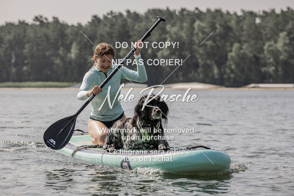 BUHU_SUP_391 | nelerasche