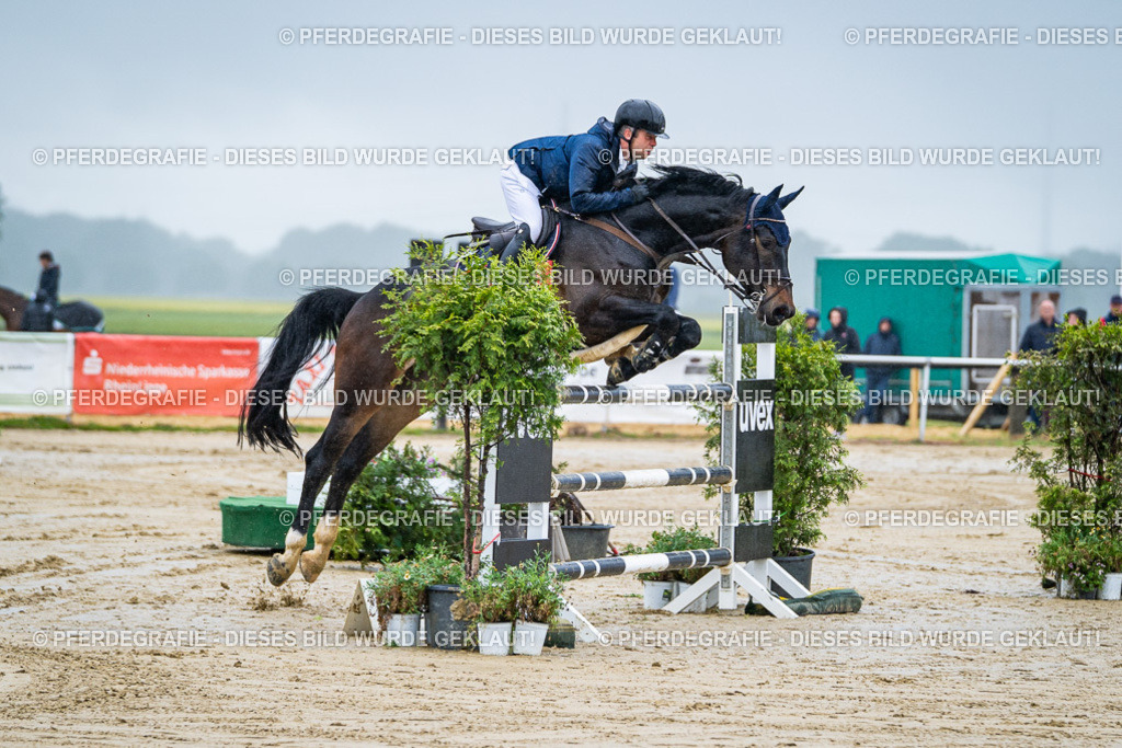 DSC03381 | Pferdegrafie