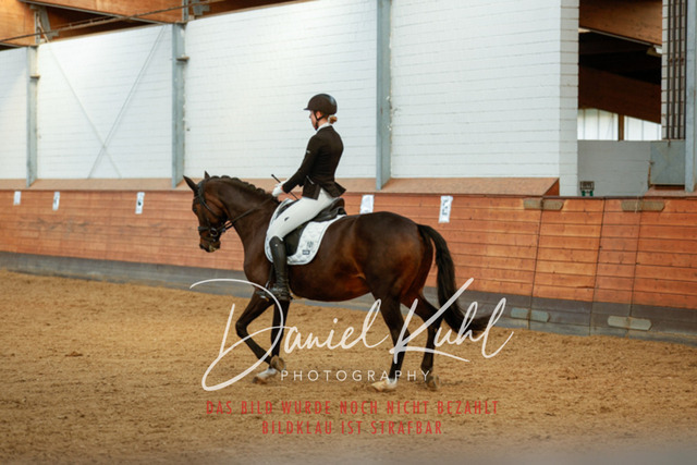 _62_7754 | Turniersportfotografie; Pferdefotografie; Dressurfotografie