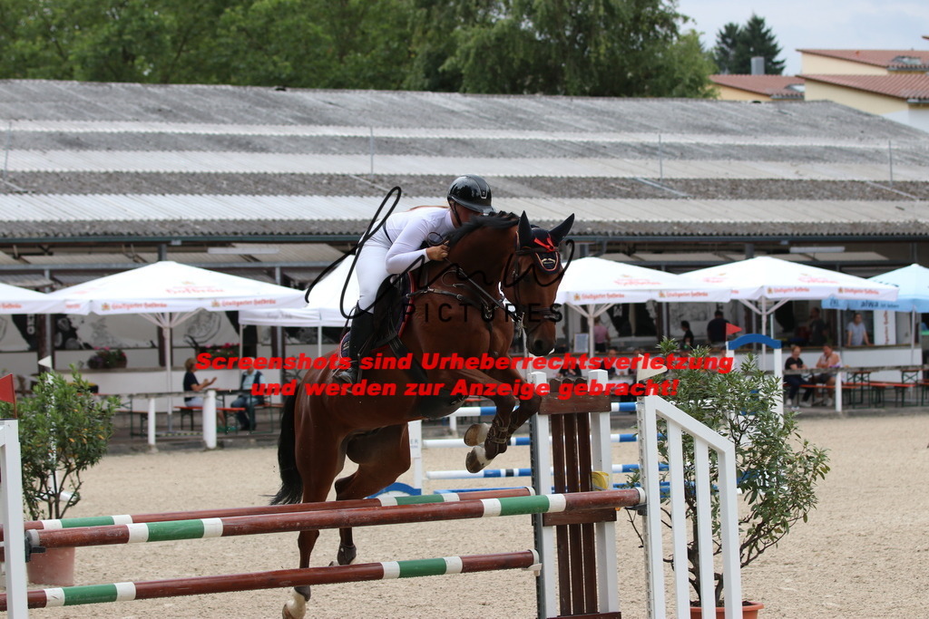 IMG_7686 | lmwpictures - Realisiert mit Pictrs.com