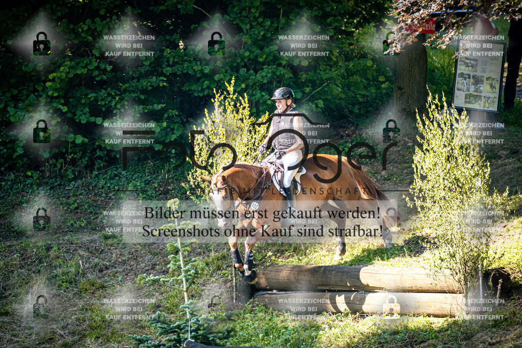 2026-05 - Melle Oldendorf-3-0054 | Entdecke hochwertige Reitturnierfotos von Foto Oger. Professionell, emotional und authentisch – jetzt Lieblingsmomente im Shop bestellen.Deutschlandweite Turnierfotografie. - Realisiert mit Pictrs.com