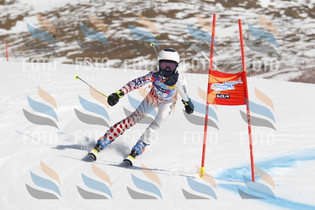 _U3G9864 | holidayphoto