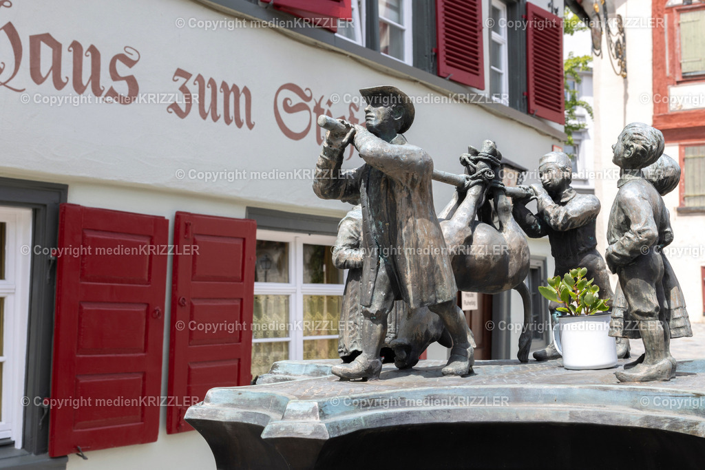 Wangen | medienkrizzler - Realisiert mit Pictrs.com