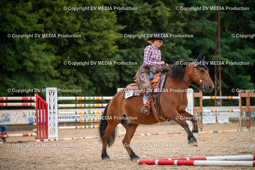 ZS2_8131 | dv-media-shop - Realisiert mit Pictrs.com