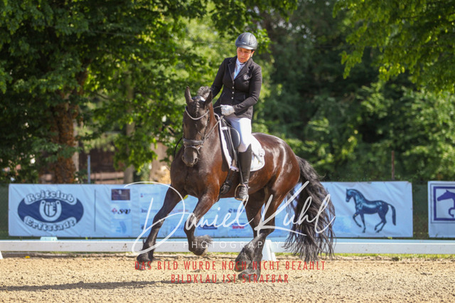 DKP42882 | Turniersportfotografie; Pferdefotografie; Dressurfotografie