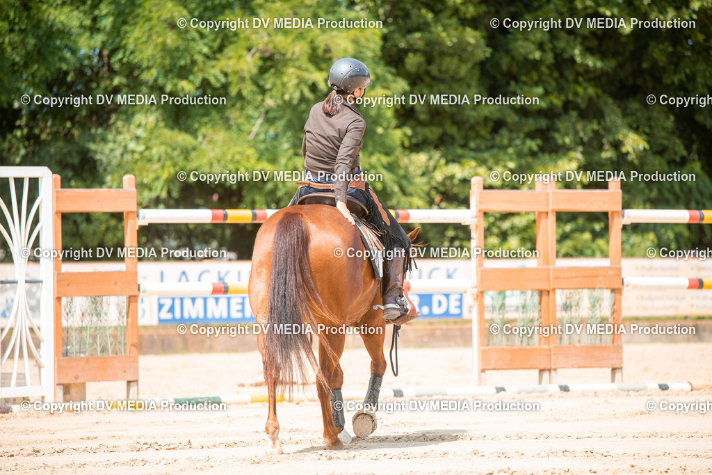 ZS2_8262 | dv-media-shop - Realisiert mit Pictrs.com