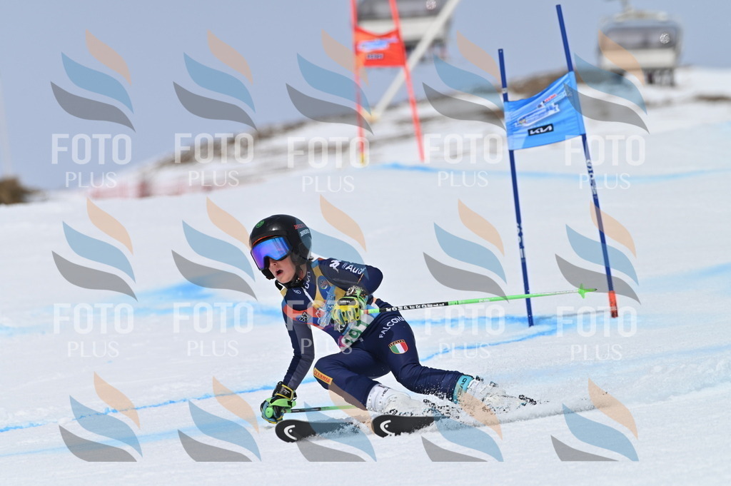 BGV_3687 | holidayphoto