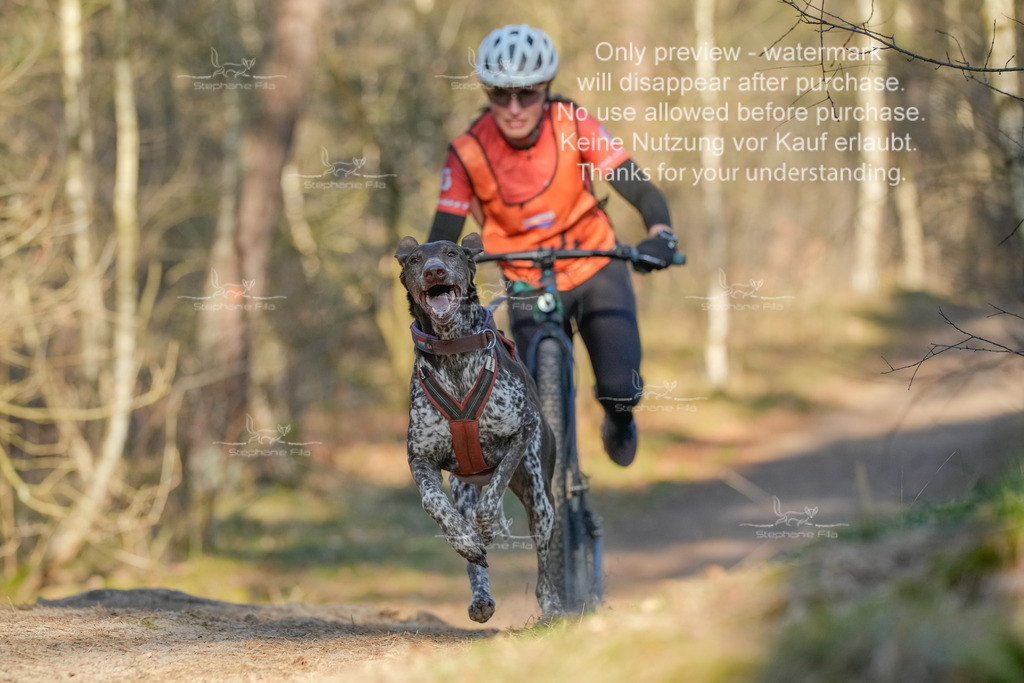 Sa_Scooter-114 | stephaniefillaphotographie - Realisiert mit Pictrs.com