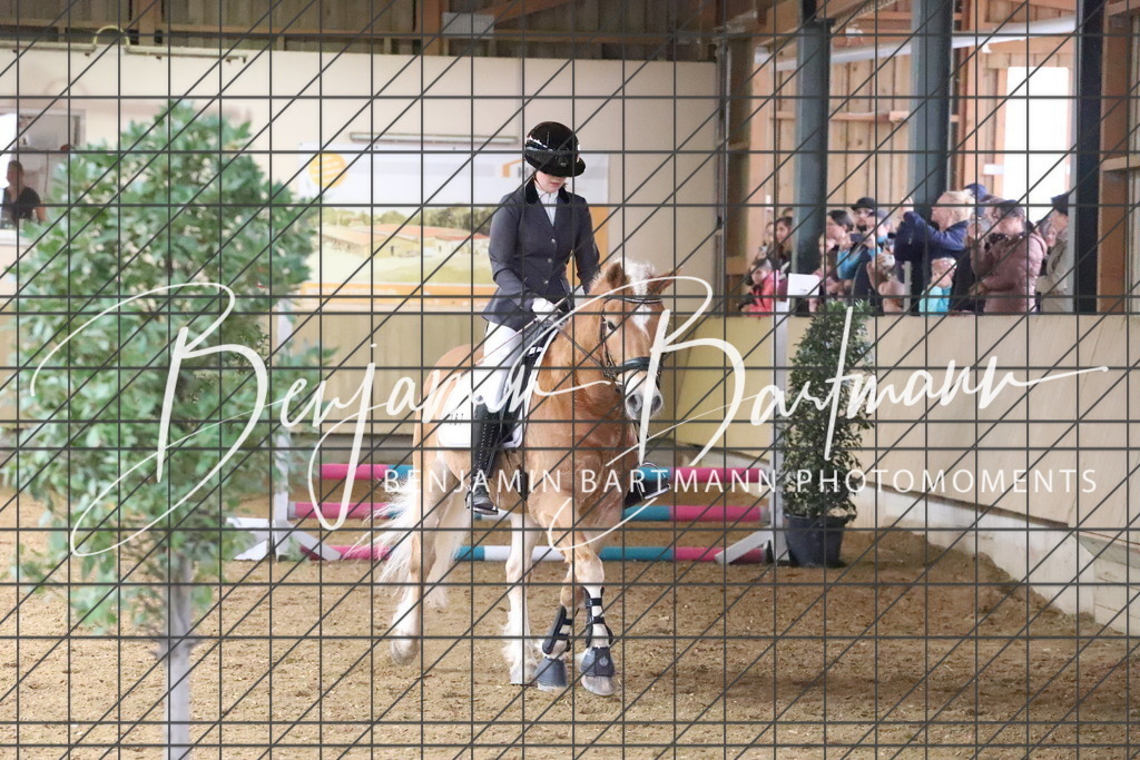 IMG_3640 | Benjamin Bartmann Photomoments