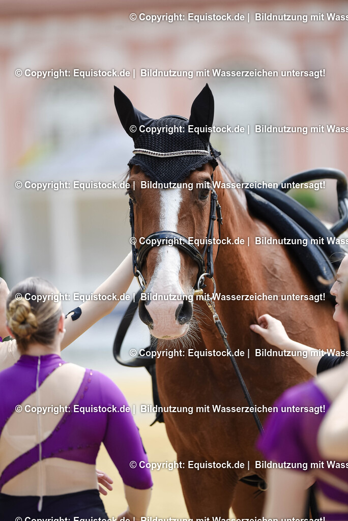 20250608_CVI-Masterclass_1124 | Foto: Thomas Hartig