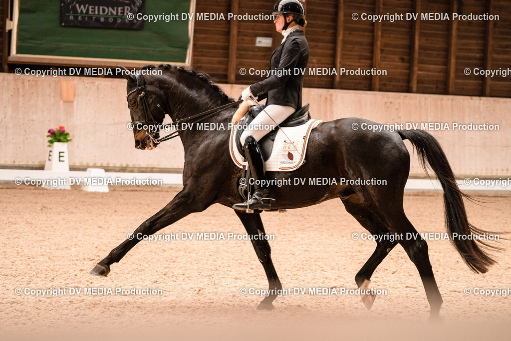 Dressur Tag 1 -221 | dv-media-shop - Realisiert mit Pictrs.com