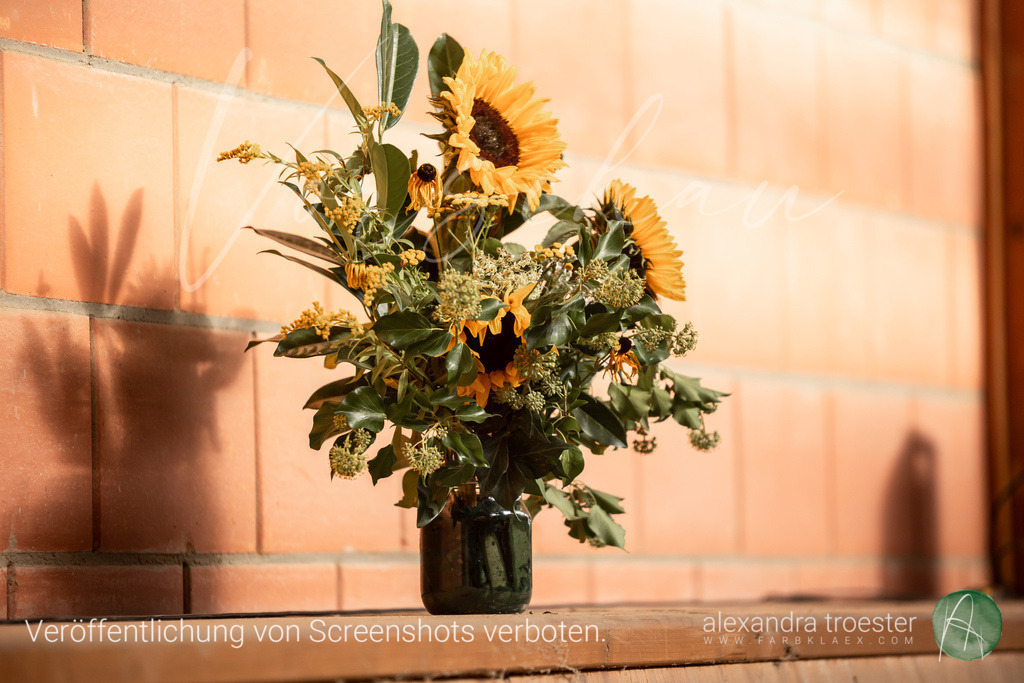 250914_Barop_14_186 | farbklaex.com