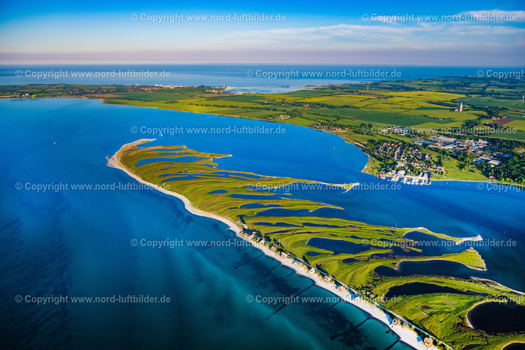 Heiligenhafen_ELS_9009030622 | HEILIGENHAFEN 03.06.2022 Küstenbereich mit sandiger Strand- und Gras- Landschaft der Halbinsel Graswarder-Heilgenhafen mit einigen Einfamilienhäusern in Großenbrode im Bundesland Schleswig-Holstein. // Coastal area of the peninsula Graswarder-Heilgenhafen with a few single- family houses at the beach in Grossenbrode in the state Schleswig-Holstein. Foto: Martin Elsen