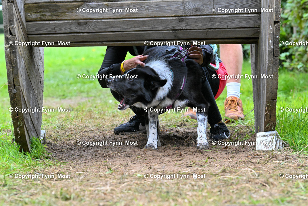 DSC_0805 | Hallo und herzlich Willkommen auf meiner Shop-Seite Fynn Most.

Ich wünsche Dir viel Spaß beim stöbern durch die Bilder, wenn Du Fragen hast oder Bilder vermisst, kannst du mir gerne eine Nachricht schreiben. - Realisiert mit Pictrs.com