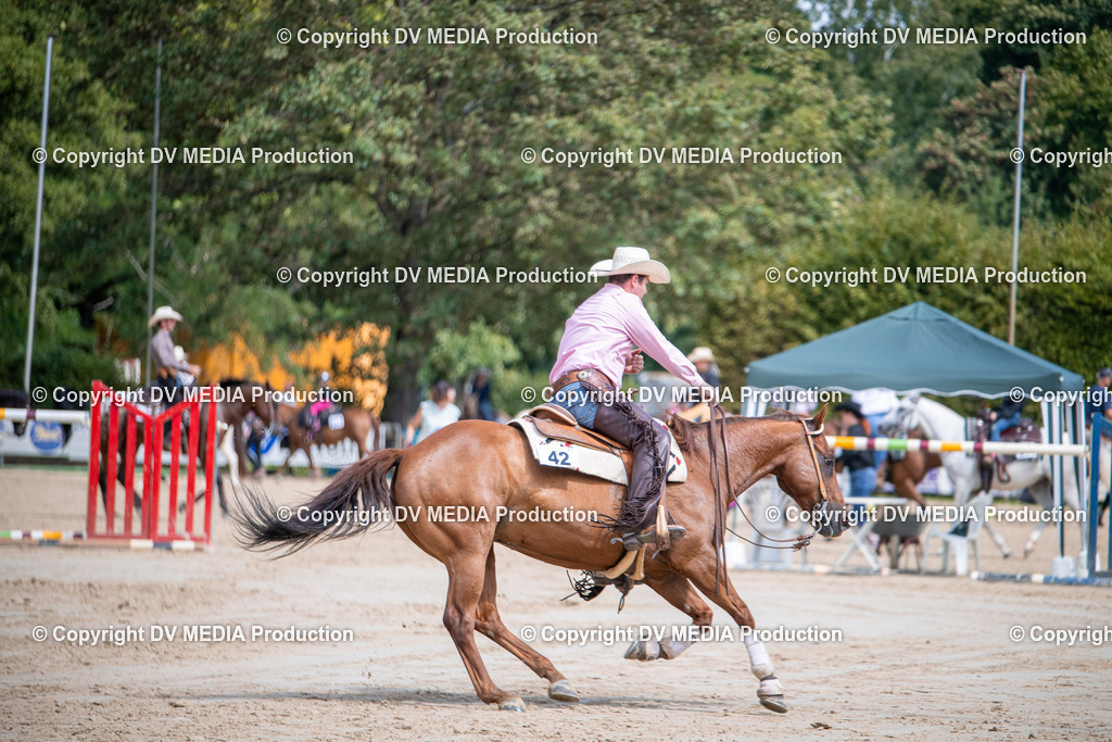 ZS3_5275 | dv-media-shop - Realisiert mit Pictrs.com