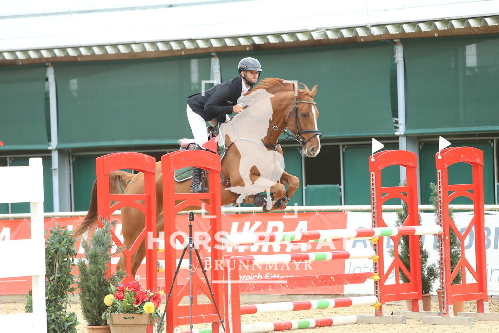DL2Q6791 | Willkommen bei Brunnmayr - Design & Fotografie – Ihrem Spezialisten für Reitturniere und Pferdeveranstaltungen in Oberösterreich, Salzburg und Bayern! Seit über 17 Jahren sind wir leidenschaftlich dabei.