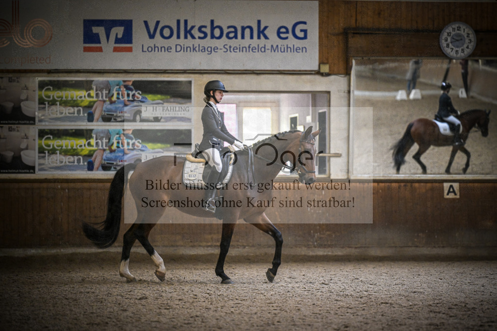 DOS_0042 | Entdecke hochwertige Reitturnierfotos von Foto Oger. Professionell, emotional und authentisch – jetzt Lieblingsmomente im Shop bestellen.Deutschlandweite Turnierfotografie. - Realisiert mit Pictrs.com
