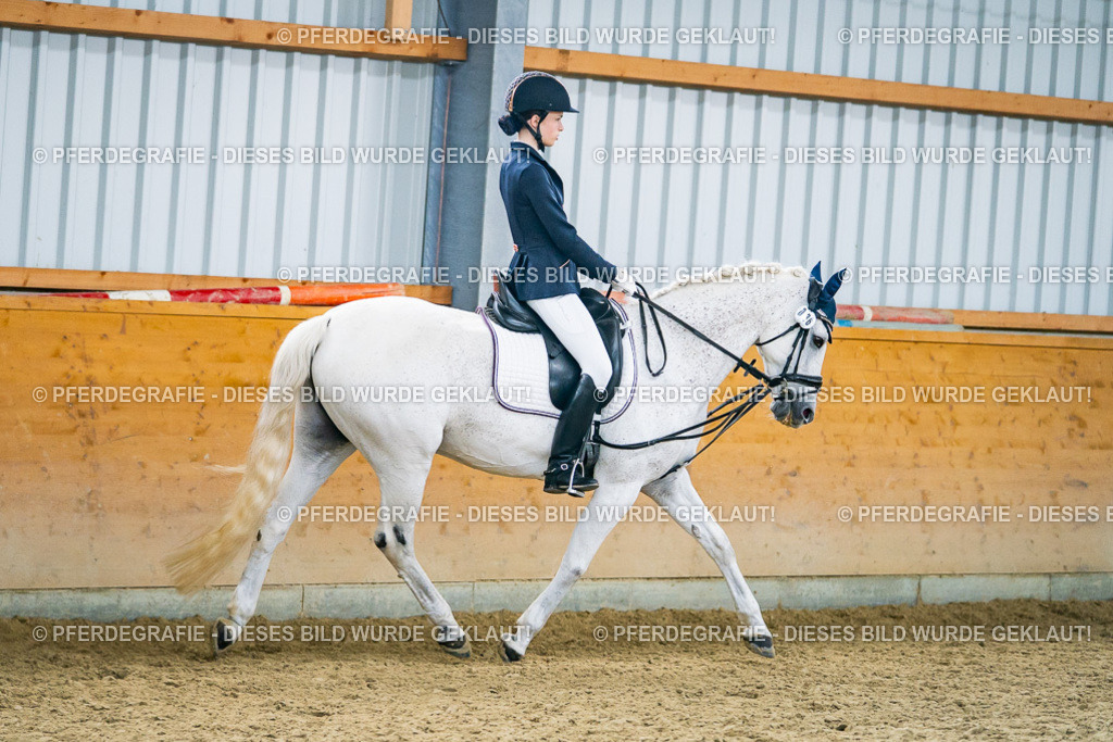 DSC04856 | Pferdegrafie