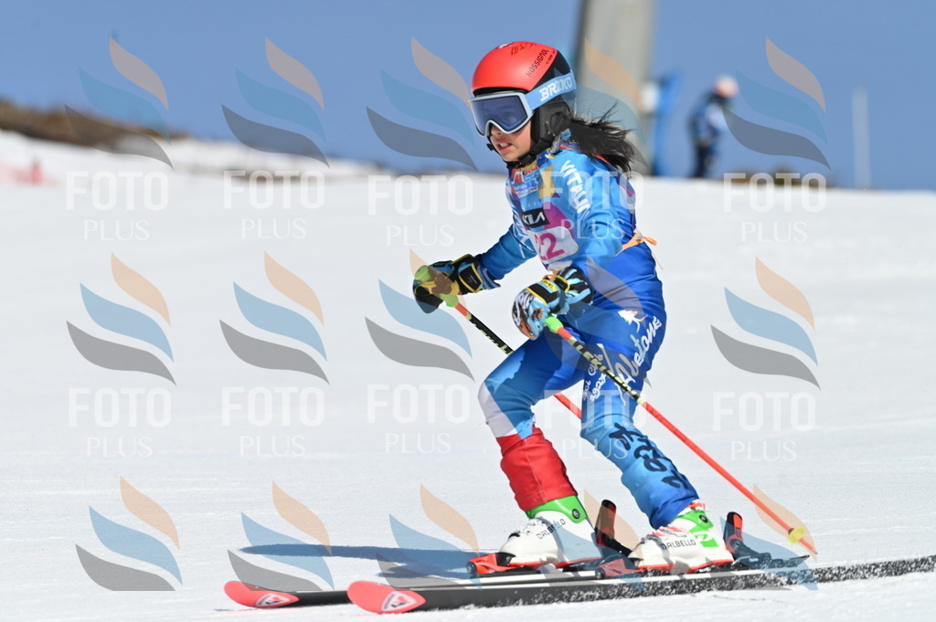 BGV_7989 | holidayphoto