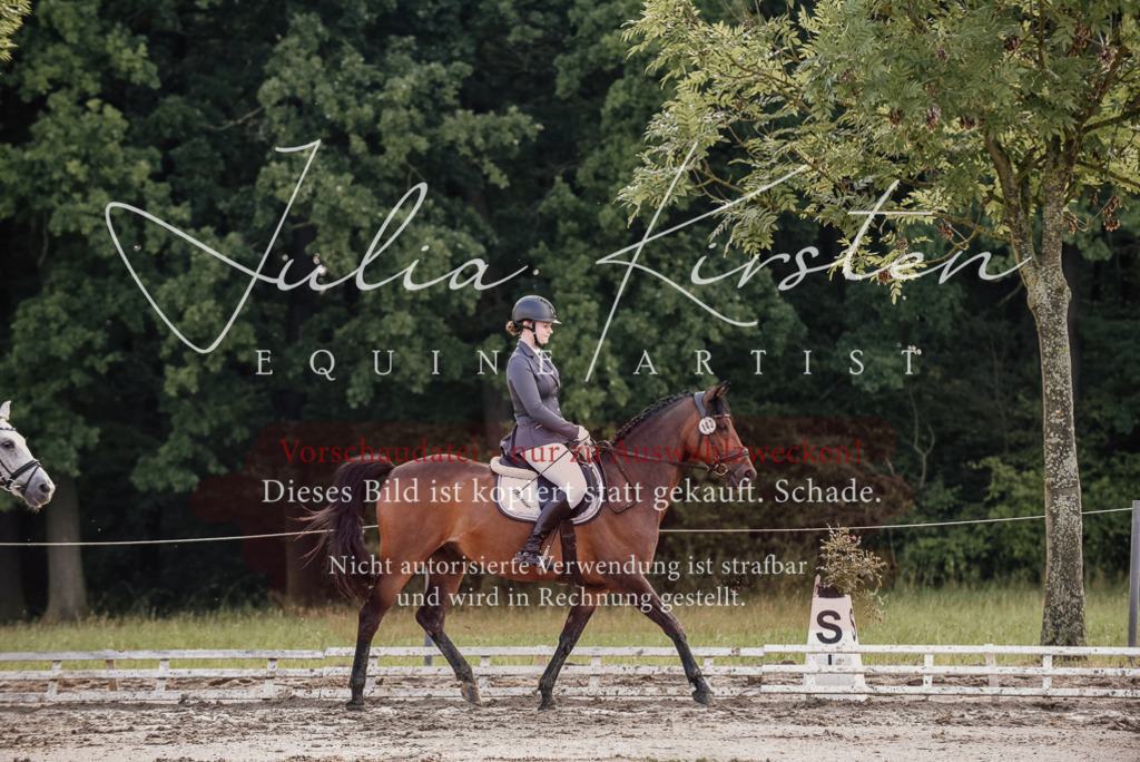 DSC_8361 | Pferde- und Turnierfotografie in Westsachsen. Pferdeportraits, Auftragszeichnungen und intuitive Kunst.