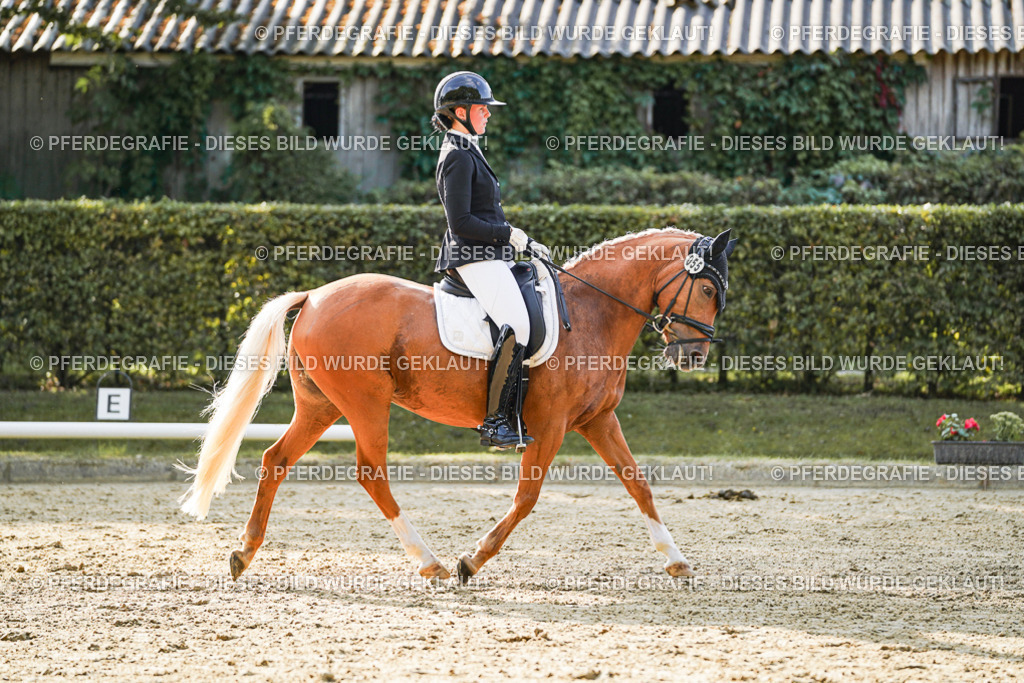 DSC05379 | Pferdegrafie