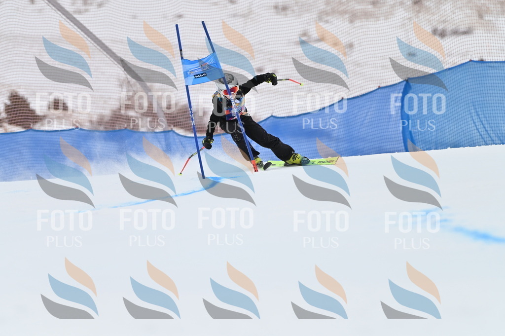 BGV_9646 | holidayphoto