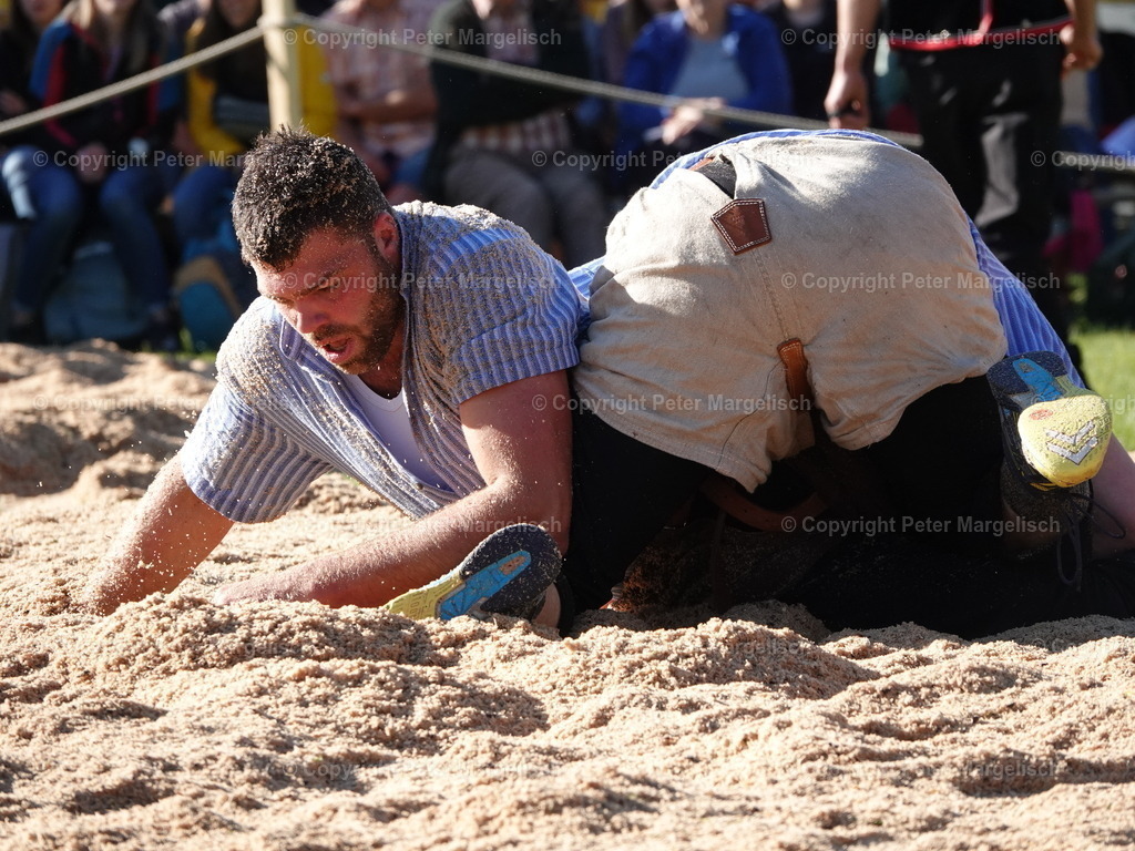DSC07356 | Schwingen - Realisiert mit Pictrs.com