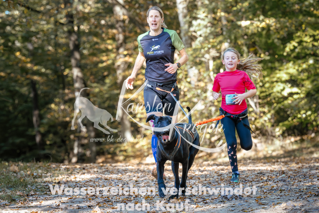 1210_ZZ94378 | kk-dogfotos
