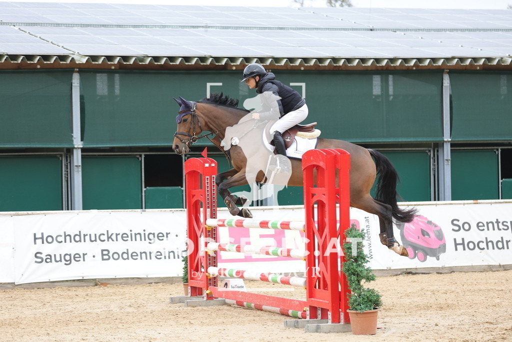 0P6A3303 | Willkommen bei Brunnmayr - Design & Fotografie – Ihrem Spezialisten für Reitturniere und Pferdeveranstaltungen in Oberösterreich, Salzburg und Bayern! Seit über 17 Jahren sind wir leidenschaftlich dabei.