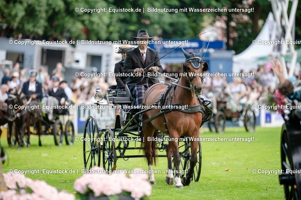 20250606_Lange-Pferdenacht_0088 | Foto: Thomas Hartig