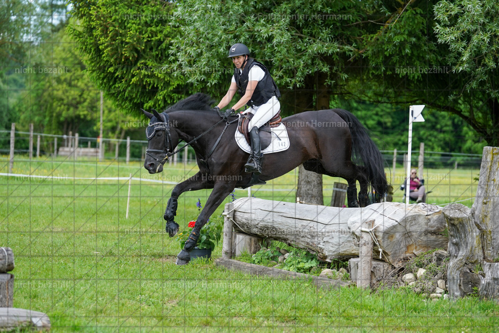 20240518-FAH03643 | Turnierbilder von Niederseon, Turnierfotografen Bayern, Fotoagentur Herrmann, Geländebilder, Reitsportfotografie