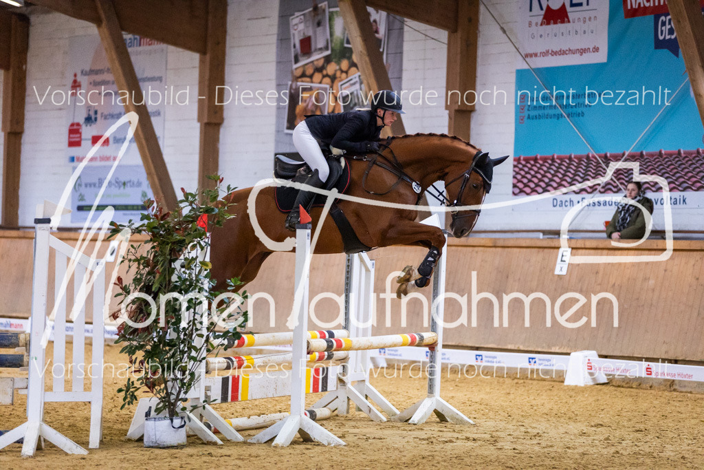 Sth-KombDreSpr-068 | MomenTaufnahmen Pferdesportfotos