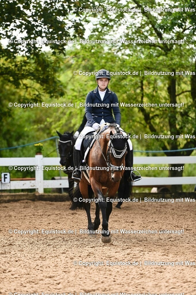 20230716_04_Dressurreiterprüfung Kl.A_0270 | equistock