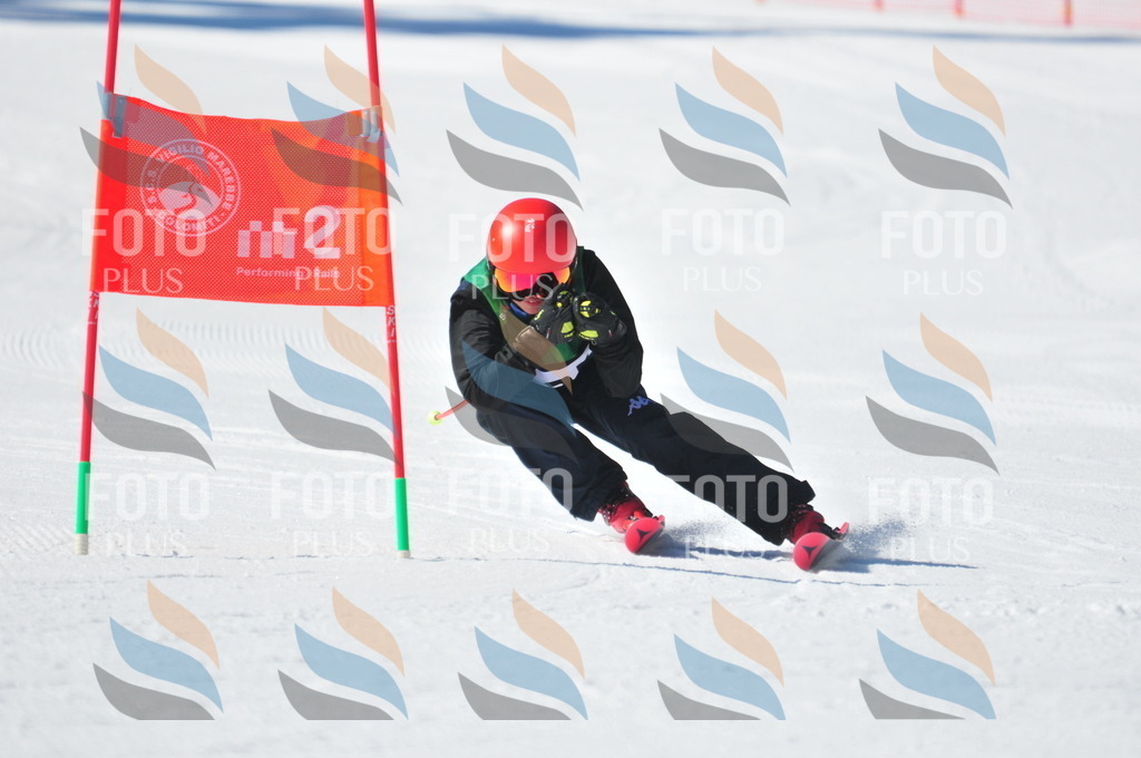 C3909 | holidayphoto