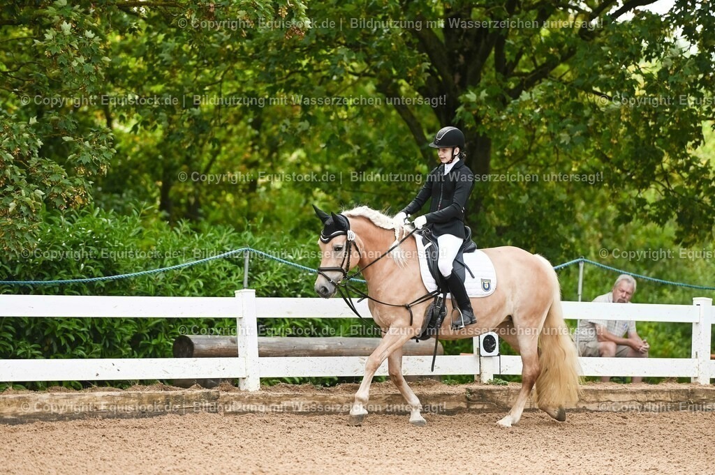 20230716_10-1_Reiter-WB Schritt - Trab - Galopp_0010 | equistock