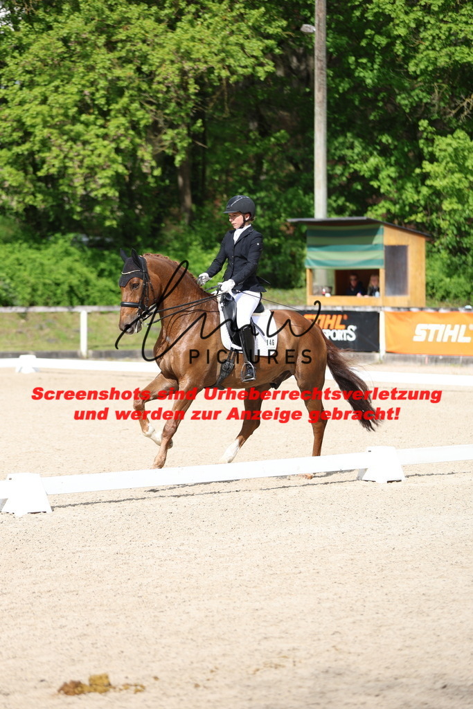 A40A4055 | lmwpictures - Realisiert mit Pictrs.com