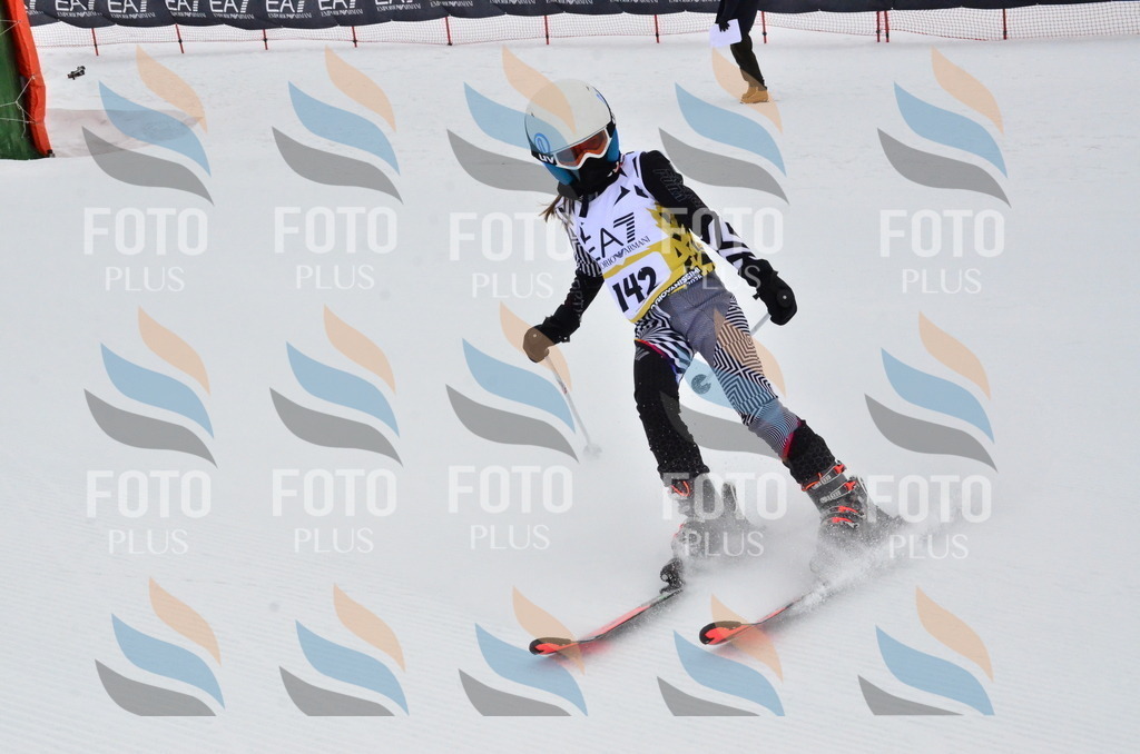 _ELE3771 | holidayphoto