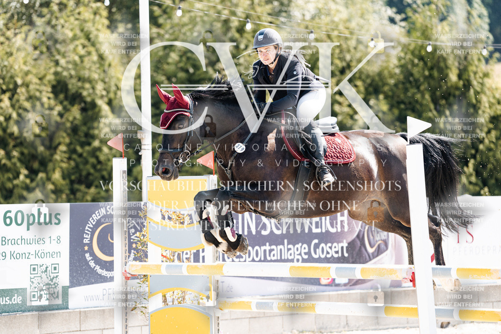 CK908806 | Turnierfotografie Pferdefotografie Trier Rheinland-Pfalz Pferdesport Reitsport Tierfotografie Sportfotografie Pferdevideo Pferdevideografie Equestrianvideography equestrianphotography  - Realisiert mit Pictrs.com