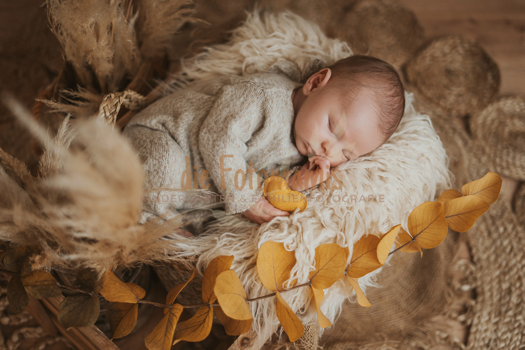 Linus-2 | Die Fotomamis – Eure Fotografen für Babybauch-, Neugeborenen-, Familien-, Kindergarten- und Hochzeitsfotografie. Mit Feingefühl, Leidenschaft & Liebe zum Detail.
