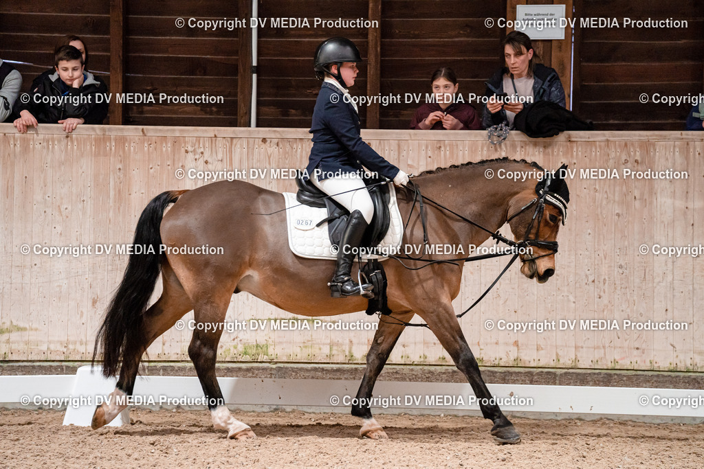 Dressur Tag 2-500 | dv-media-shop - Realisiert mit Pictrs.com